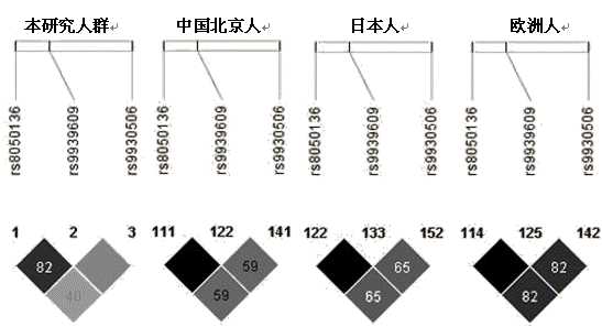 W020091117587407965863.gif