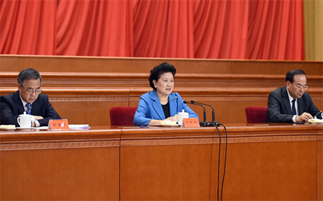 刘延东讲话