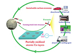 研制出将二氧化碳高效清洁转化为液体燃料的新型钴基电催化剂