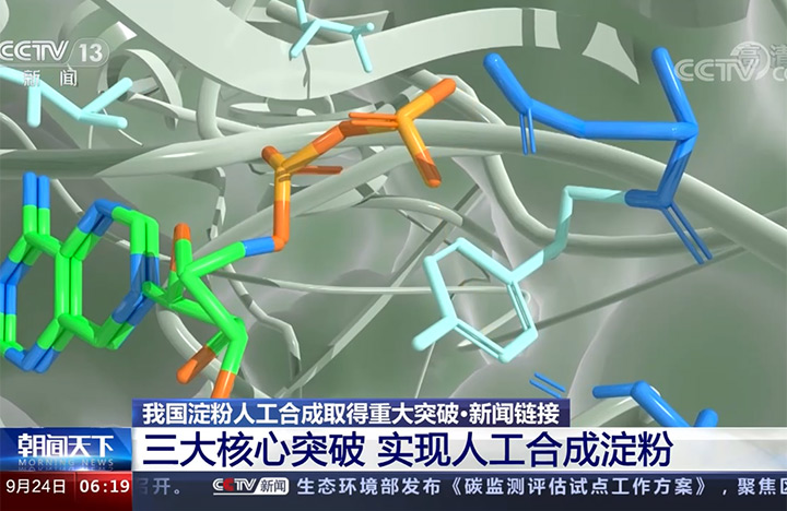 【朝闻天下】我国淀粉人工合成取得重大突破·新闻链接 三大核心突破 实现人工合成淀粉