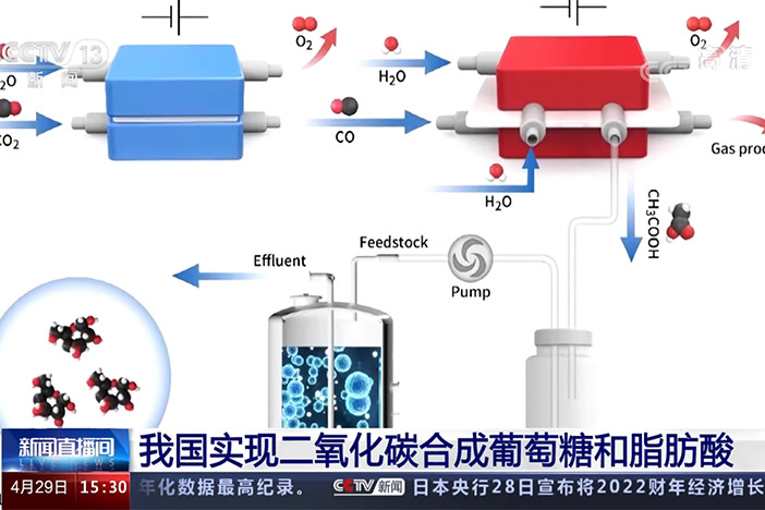 【新闻直播间】我国实现二氧化碳合成葡萄糖和脂肪酸